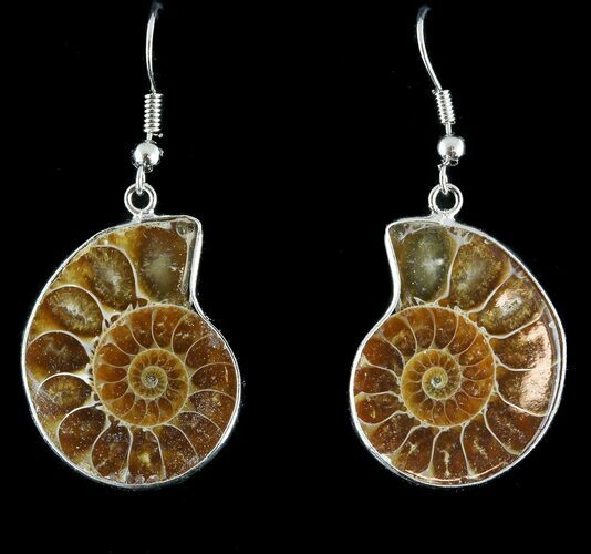 Fossil Ammonite Earrings - Million Years Old #48837